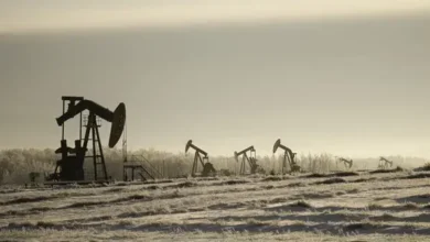 Complete localization cycle: from design to implementation of filters for oil wells. 1 Complete localization cycle from design to implementation of filters for oil wells.