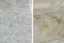 Cement Floor Tile vs Ceramic Tile Which Offers Better Durability